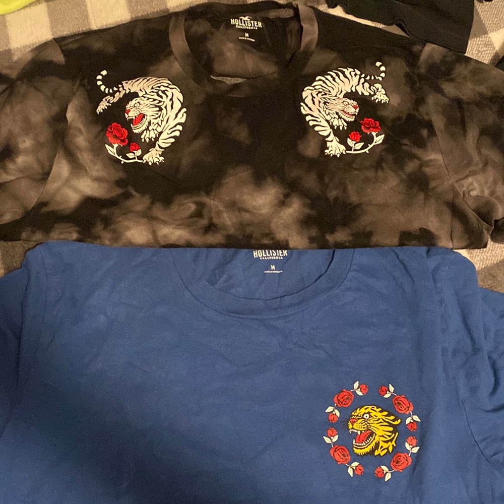 hollister set